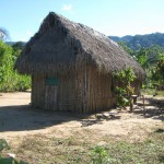 Casa Típica Asháninka