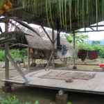 Vivienda Asháninka de 2 casas