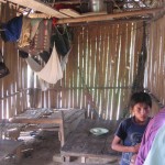 Vivienda Asháninka única